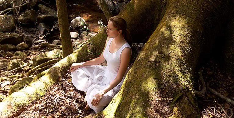 Meditation entouré d’arbres 