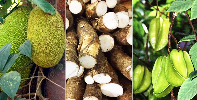 manioc, le fruit de Jacquier, carambole, fruits et legumes locaux