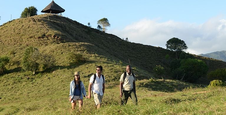 Hike in the heart of a native Mauritian forest